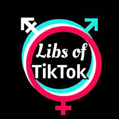 Libs of TikTok profile